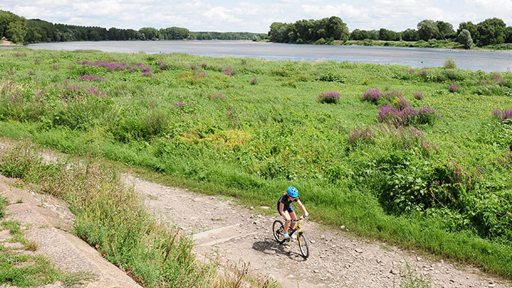 La Loire à vélo  29km